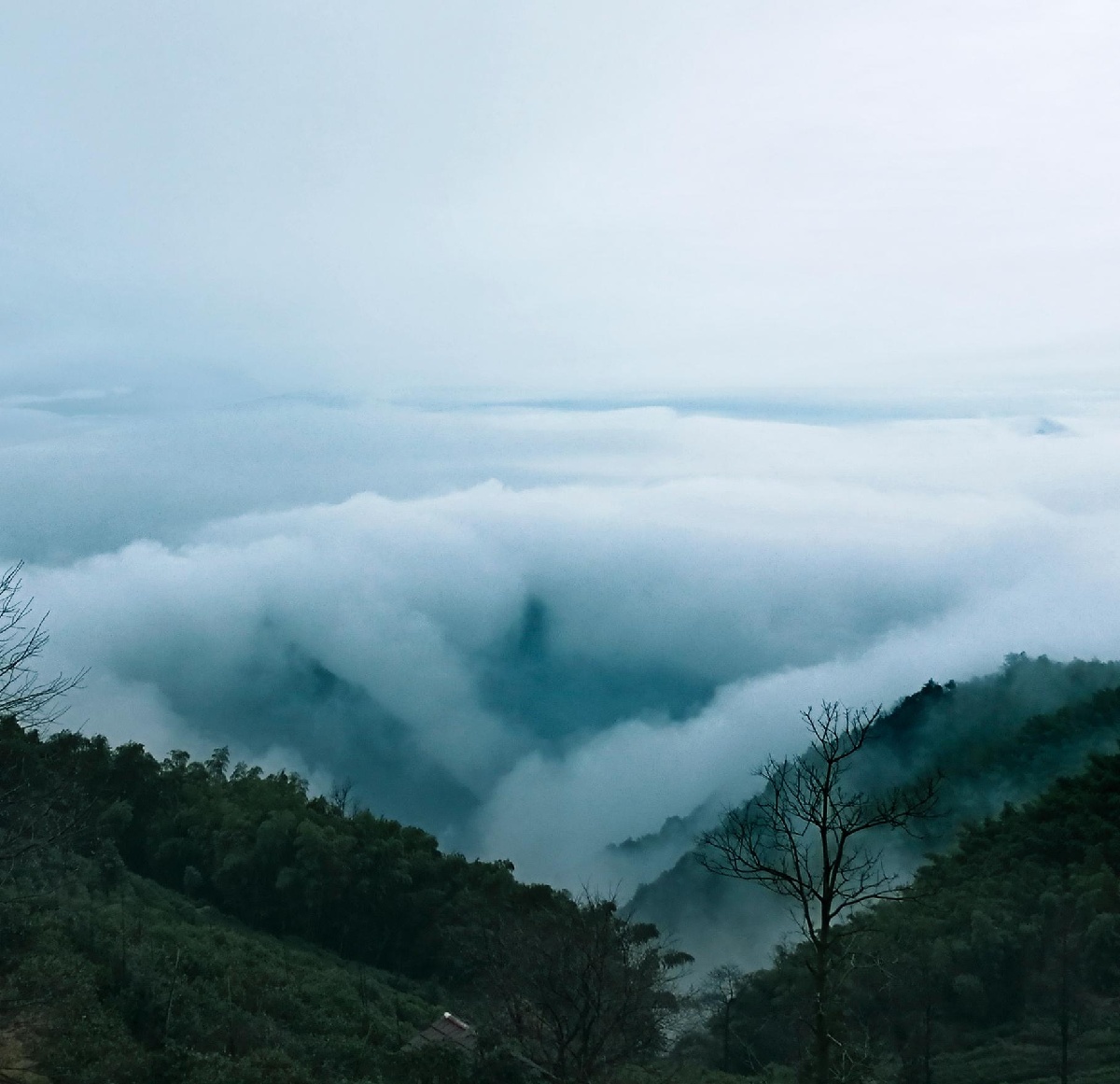 富阳安顶云海